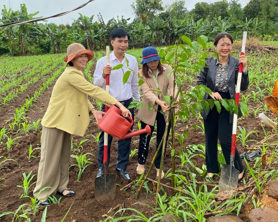 Trồng cây 3